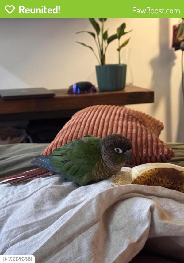 Reunited Unknown Bird last seen Chelsea, New York, NY 10011