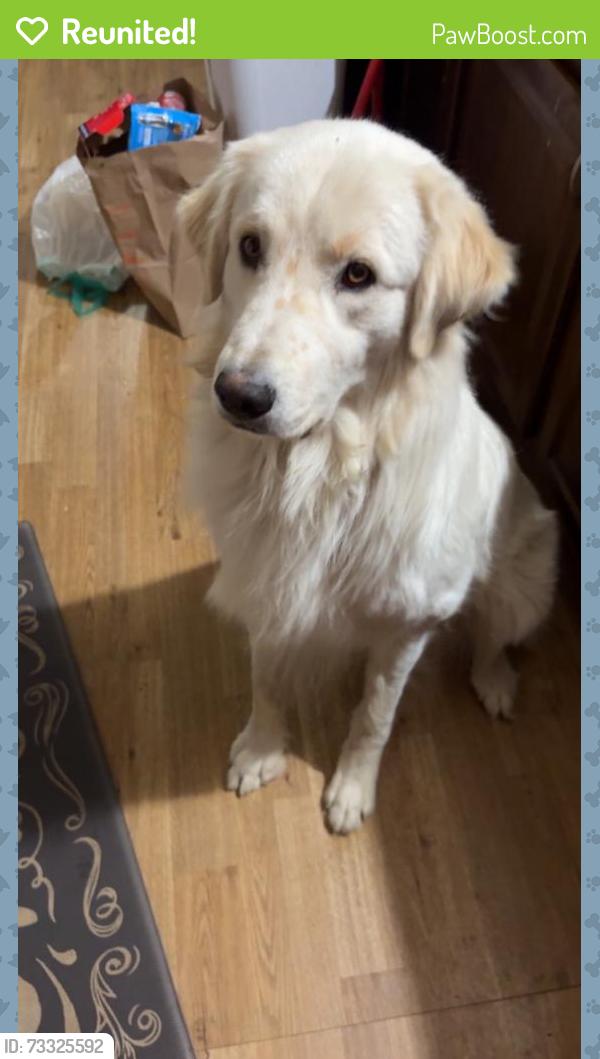 Reunited Male Dog last seen Near Woodruff St, Fort Lupton, CO 80621, USA, Fort Lupton, CO 80621