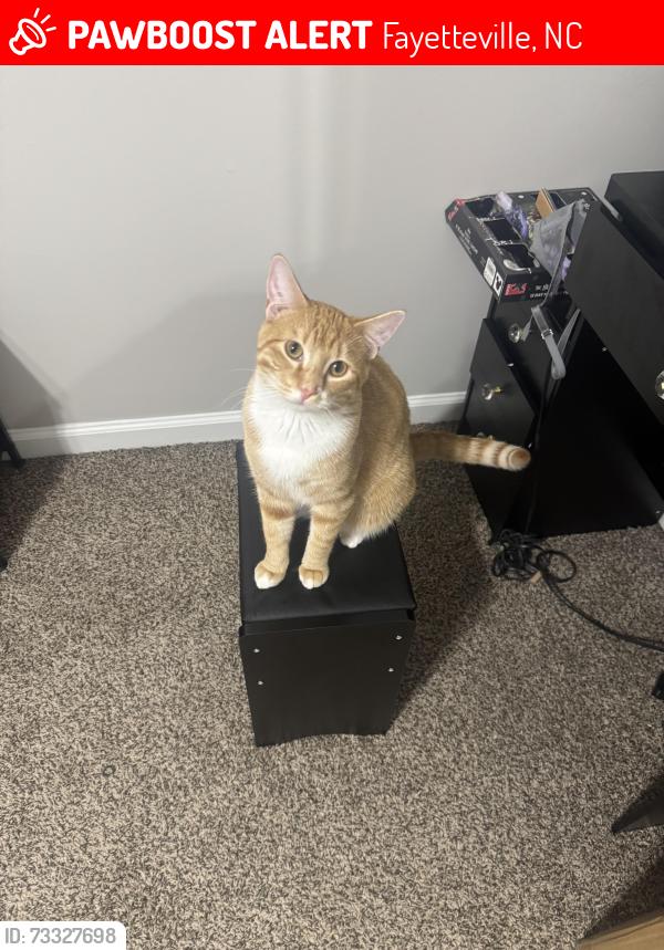Lost Male Cat last seen Yadkin rd, Fayetteville, NC 28303