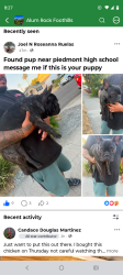 Found/Stray Unknown Dog last seen Piedmont high School, Piedmont, CA 94611