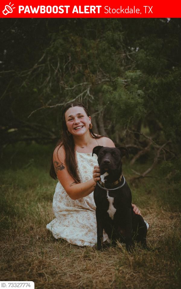 Lost Male Dog last seen Stockdale Dental, Stockdale, TX 78160
