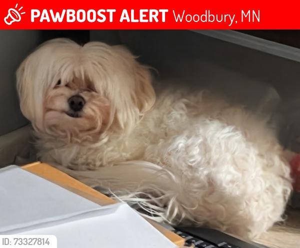 Lost Female Dog last seen Marsh Creek in Woodbury, Woodbury, MN 55125