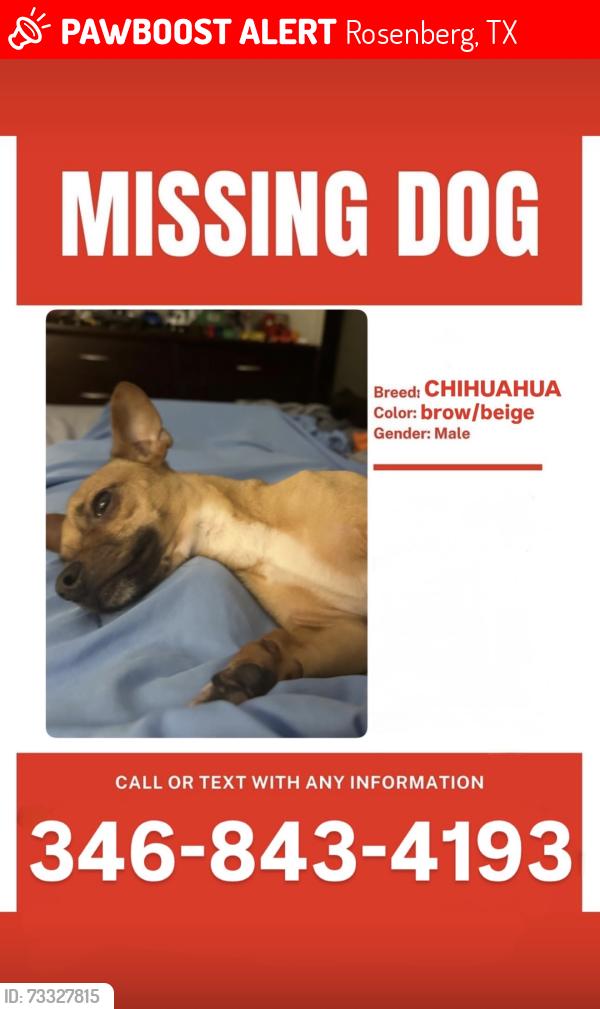 Lost Male Dog last seen Near Reading Road, Rosenberg, TX 77471