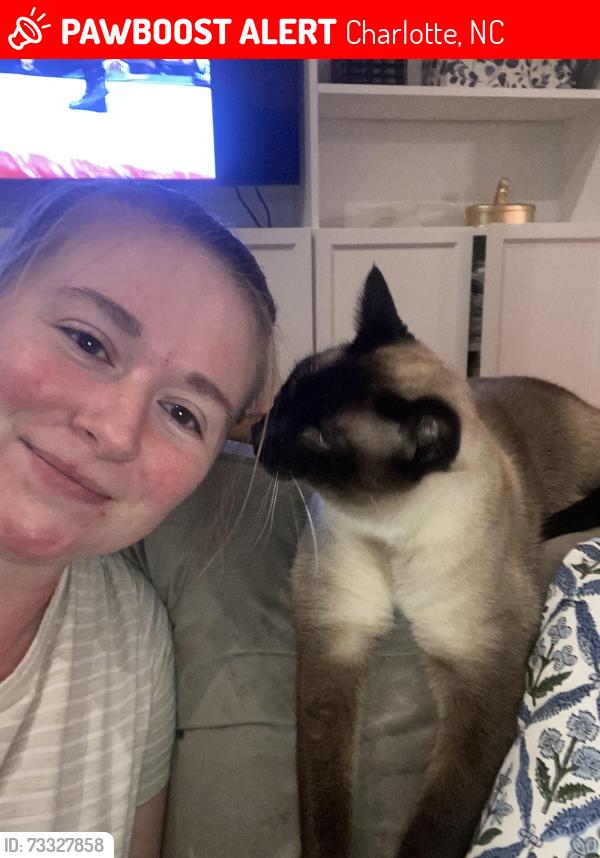 Lost Male Cat last seen Riverpointe Drive, Charlotte, NC 28278