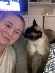 Lost Male Cat last seen Riverpointe Drive, Charlotte, NC 28278
