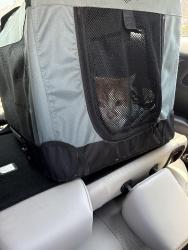 Reunited Male Cat last seen Hemphill St, Burleson, TX 76028
