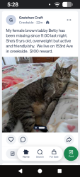 Lost Female Cat last seen Valley Avenue sumner wa, Sumner, WA 98390