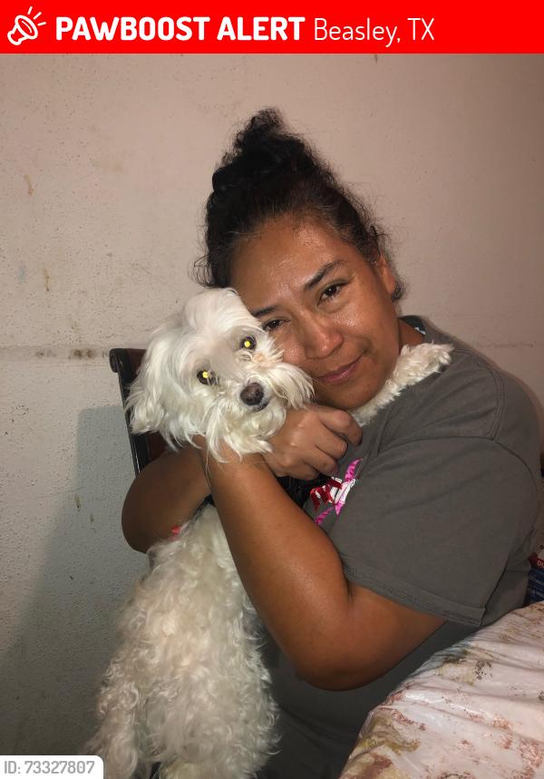 Lost Female Dog last seen Near crimson trce, Beasley, TX 77417