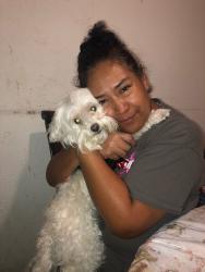 Lost Female Dog last seen Near crimson trce, Beasley, TX 77417