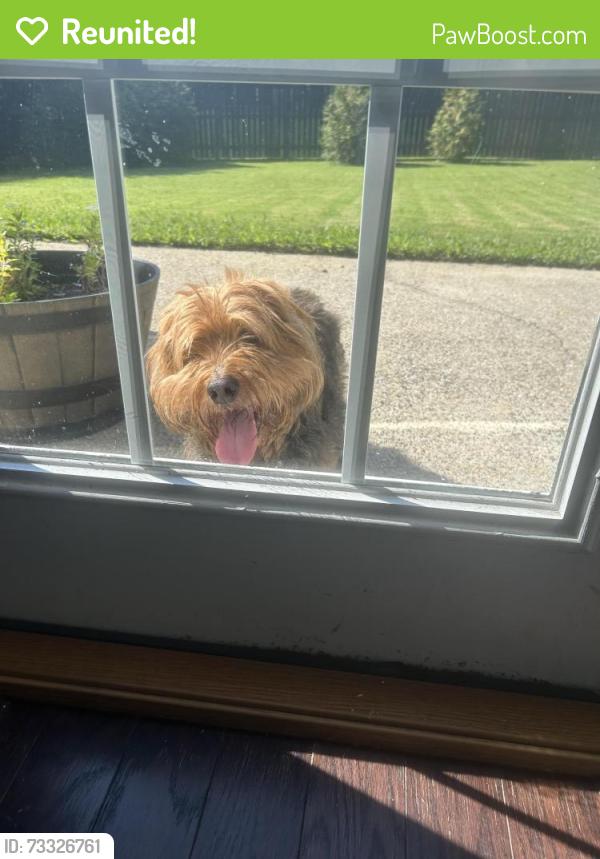 Reunited Male Dog last seen Dunedin trail and Cataya cove, Woodstock, GA 30188