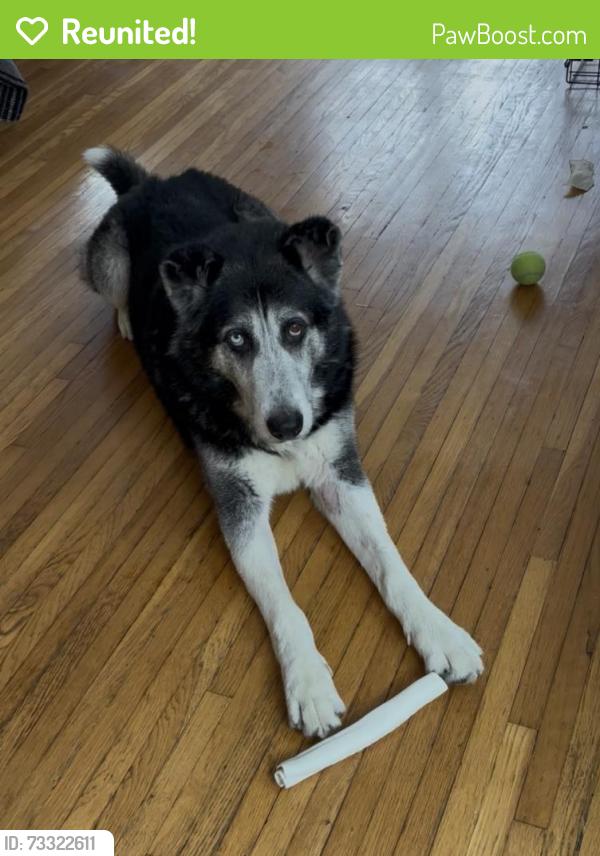 Reunited Male Dog last seen Wilmington, CA, Los Angeles, CA 90744