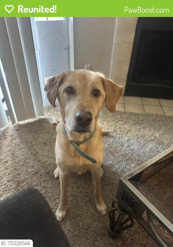 Reunited Male Dog last seen Wentworth and Alastair, Pasadena, TX 77506