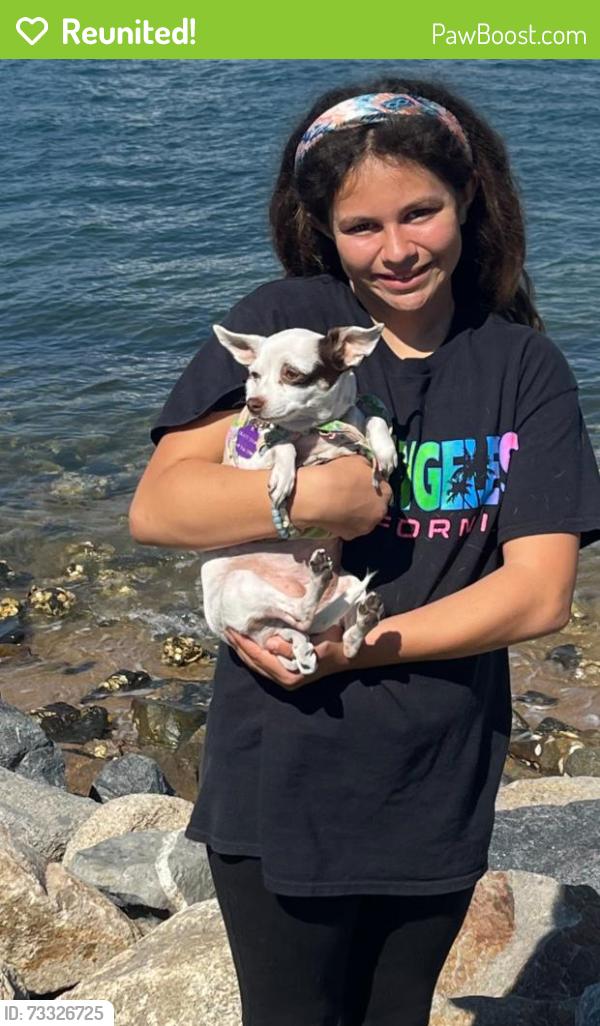 Reunited Female Dog last seen Crerekford/ WinterGardens, Lakeside, CA 92040