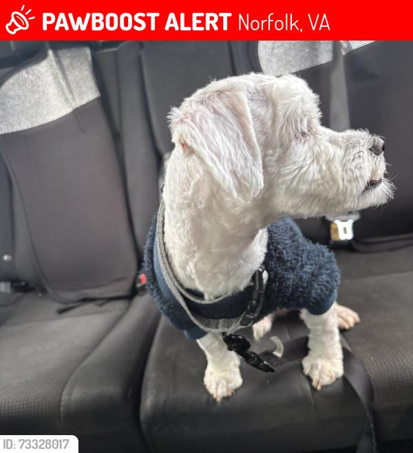 Lost Male Dog last seen Popular hall drive, Norfolk, VA 23502
