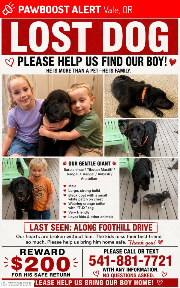 Lost Male Dog last seen Foothill Drive, Vale, OR 97918