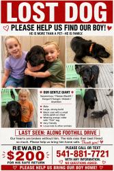 Lost Male Dog last seen Foothill Drive, Vale, OR 97918