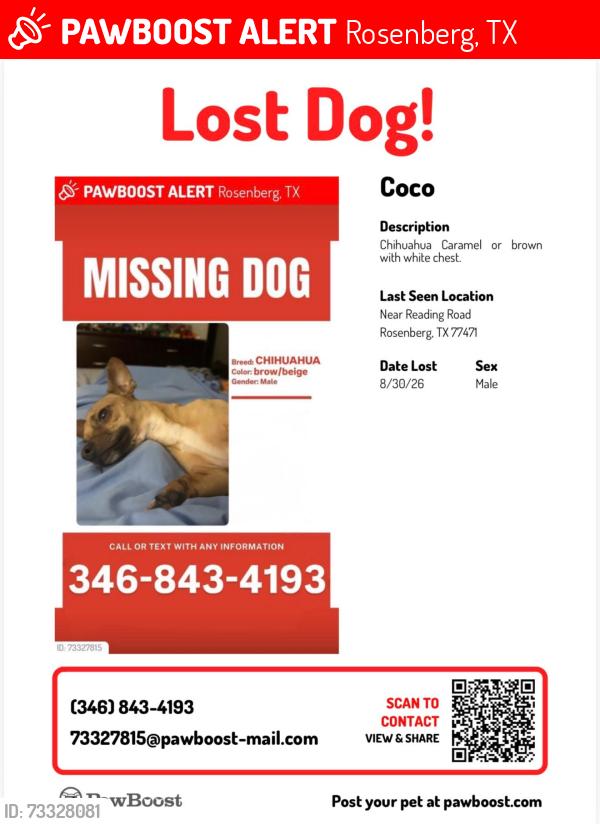 Lost Male Dog last seen Near reading road, Rosenberg, TX 77471