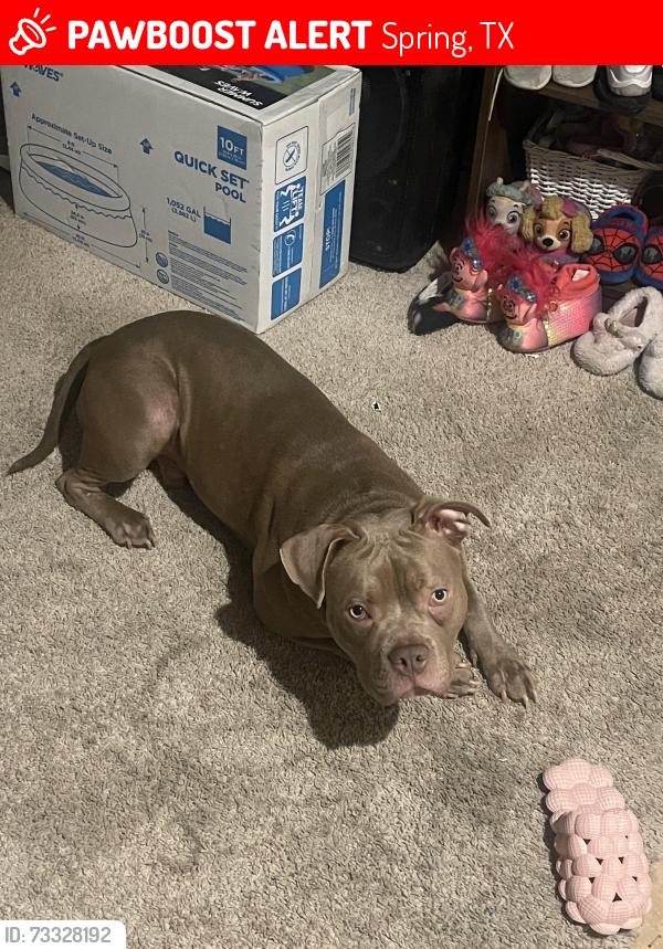 Lost Male Dog last seen lynngate dr, Spring, TX 77373