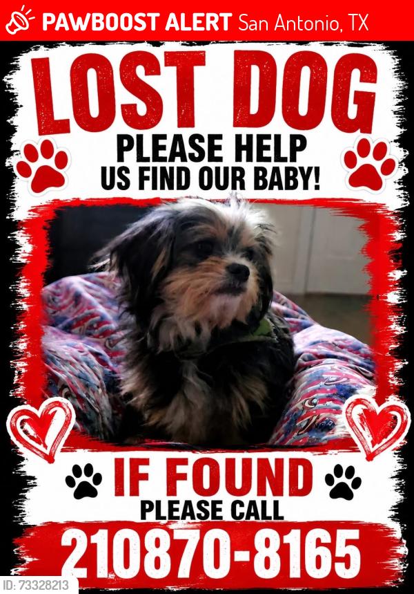 Lost Male Dog last seen HEB 24th and Culebra, San Antonio, TX 78228
