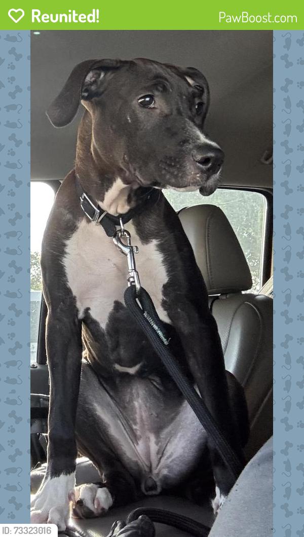 Reunited Unknown Dog last seen Port St Lucie, Port St. Lucie, FL 34986