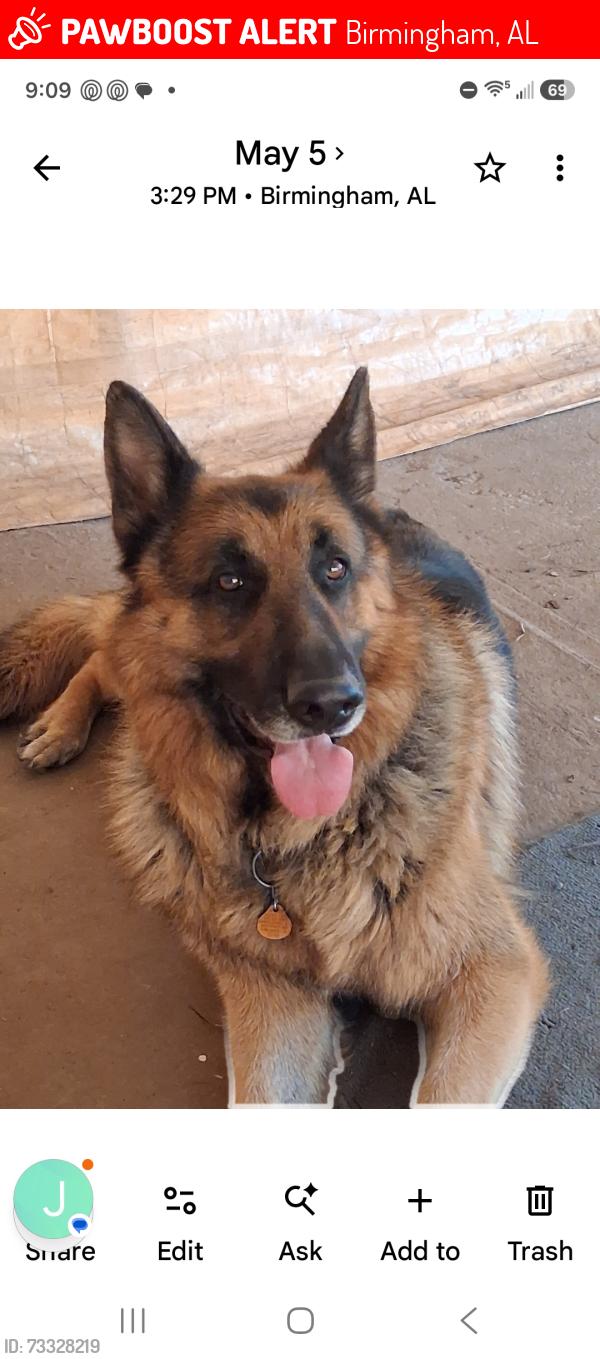 Lost Male Dog last seen Georgia Road, Birmingham, AL 35212