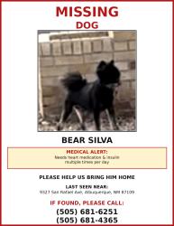Reunited Male Dog last seen San Francisco and Ventura, Albuquerque, NM 87109