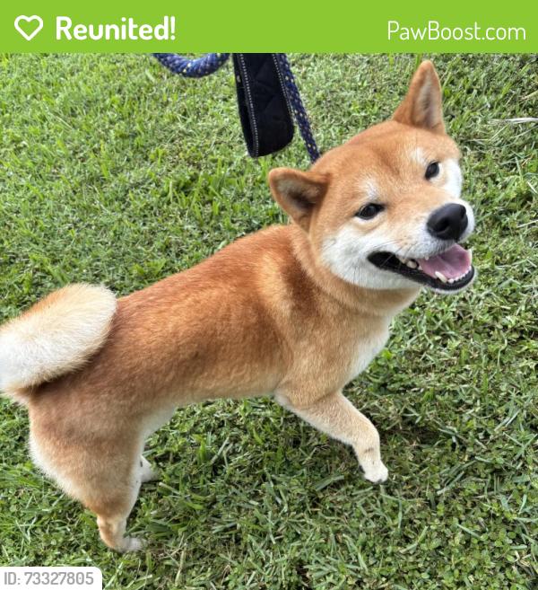 Reunited Unknown Dog last seen Port St. Lucie, Port St. Lucie, FL 34986