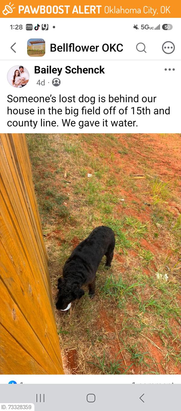 Found/Stray Unknown Dog last seen Sw 18th and county line rd, Oklahoma City, OK 73128