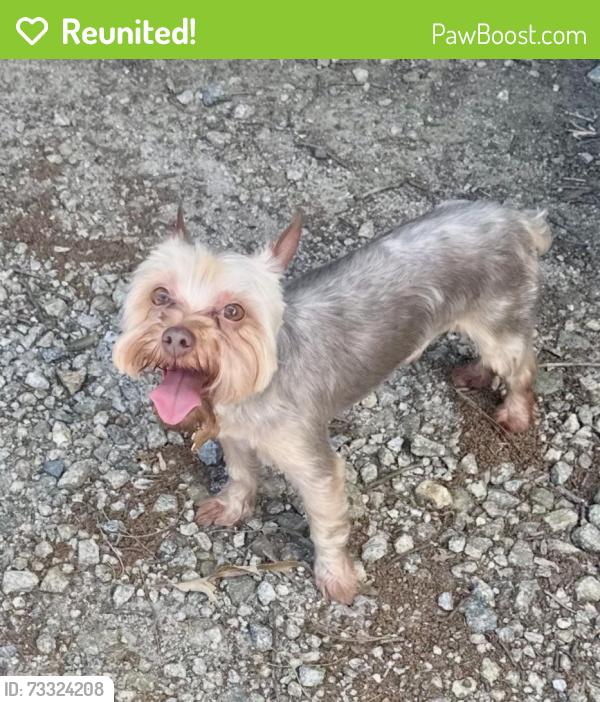 Reunited Male Dog last seen Hwy 36 and 162 Covington, GA, Covington, GA 30014