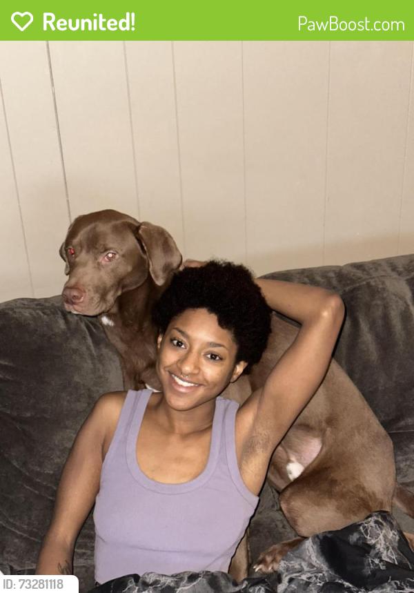 Reunited Male Dog last seen 16th and college ave, Terre Haute, IN 47803