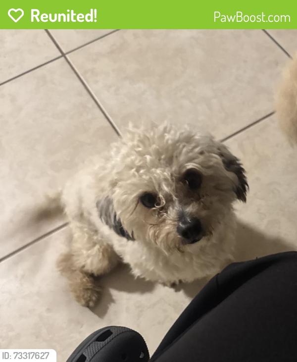 Reunited Male Dog last seen Near Haines St, Perris, CA 92570, USA, Perris, CA 92570