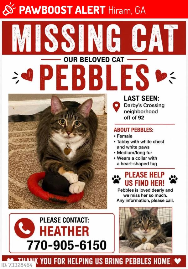 Lost Female Cat last seen Near & Macland, Hiram, GA 30141