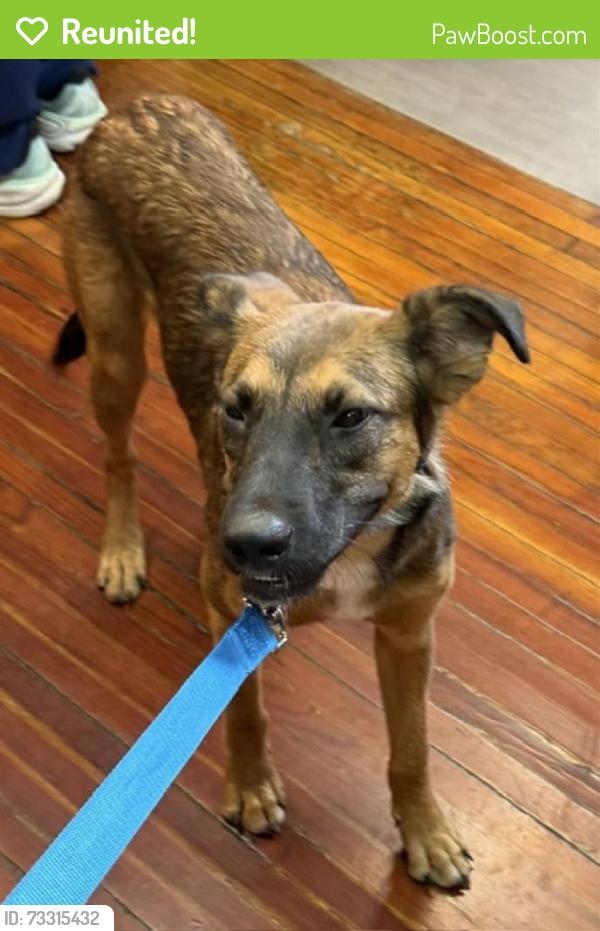 Reunited Female Dog last seen Hammack Rd D.S., Livingston Parish, LA 70726