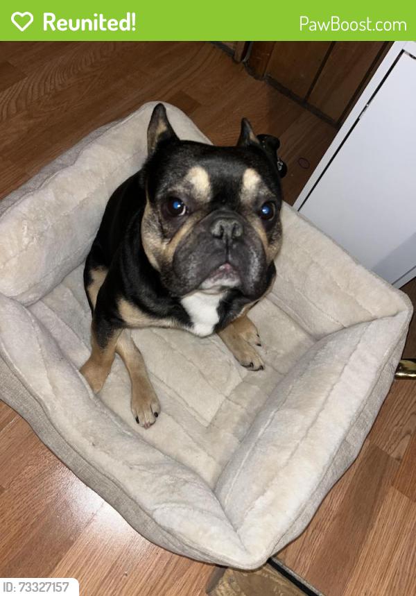 Reunited Male Dog last seen Coors and arenal arenal, South Valley, NM 87105