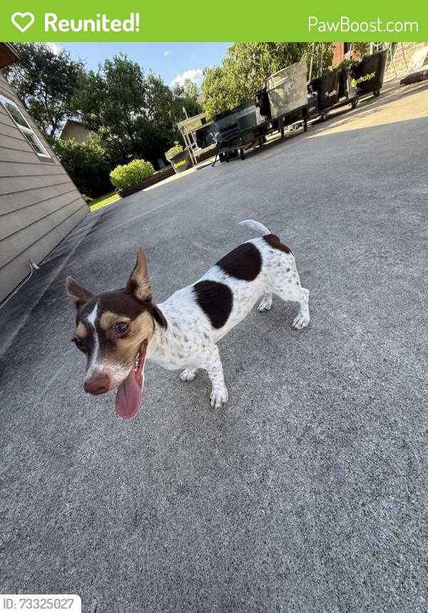 Reunited Female Dog last seen Near BLANCHETT STREET BEAUMONT, TX, Beaumont, TX 77701