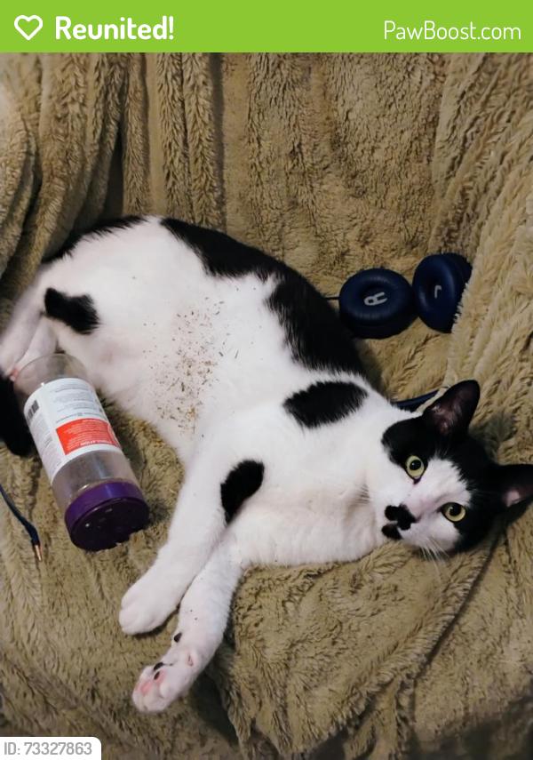 Reunited Male Cat last seen Glenmere, Greeley, CO 80620