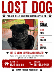Lost Male Dog last seen Circle k 4th and sierra, Norco, CA 92860