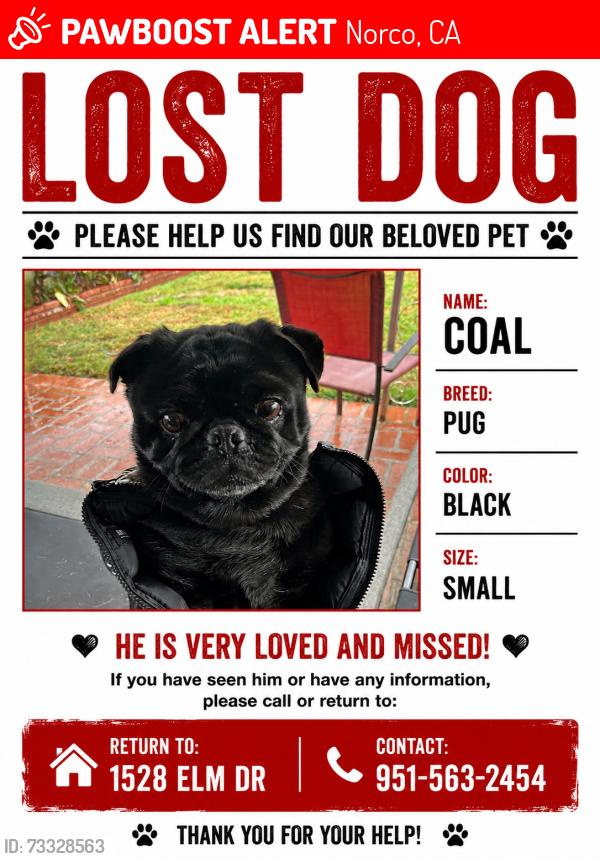 Lost Male Dog last seen Circle k 4th and sierra, Norco, CA 92860