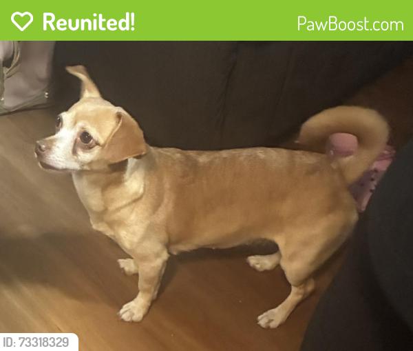 Reunited Female Dog last seen Santa Rita, Richmond, CA 94803