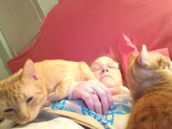Reunited Male Cat last seen Fox Run and O'Connor. Fenix Auto Sales, San Antonio, TX 78233