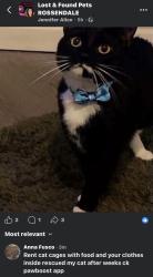 Lost Male Cat last seen Heasanford primary school, Lancashire, England BB10 3EP