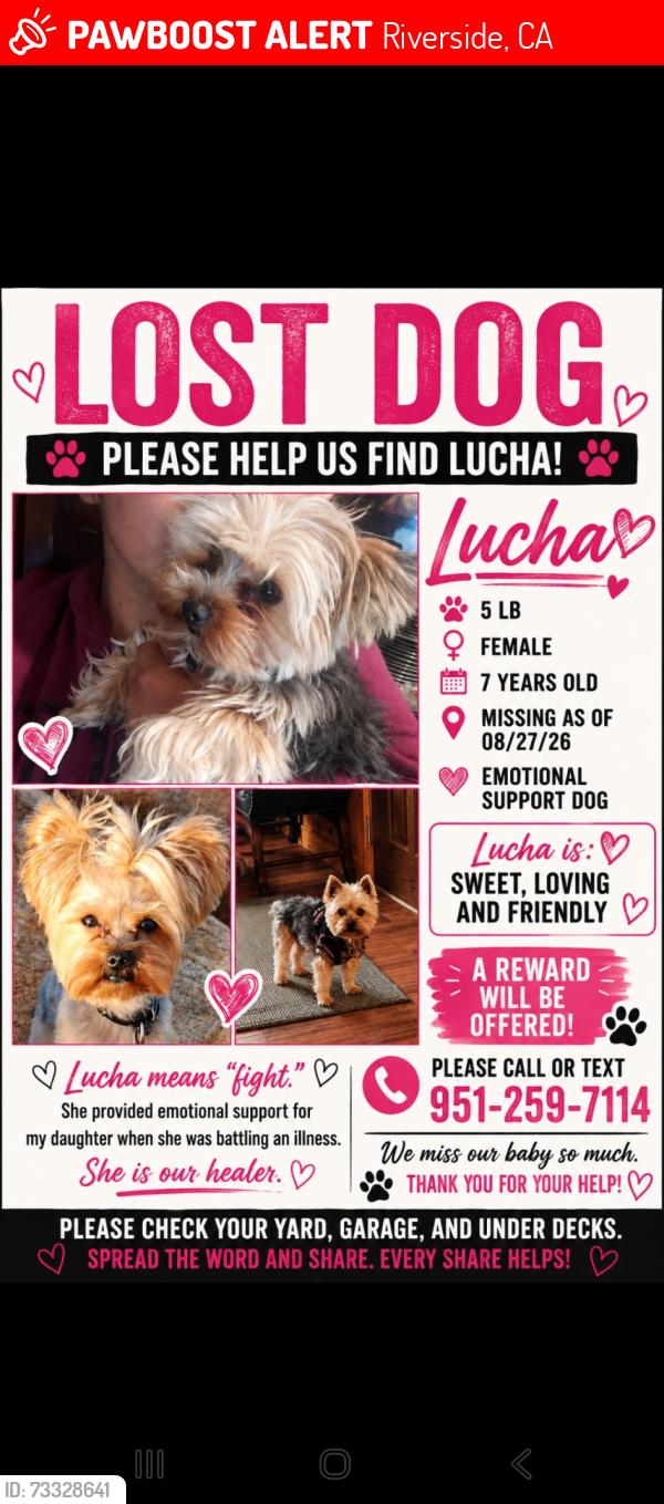 Lost Female Dog last seen Bandini, Riverside, CA 92504