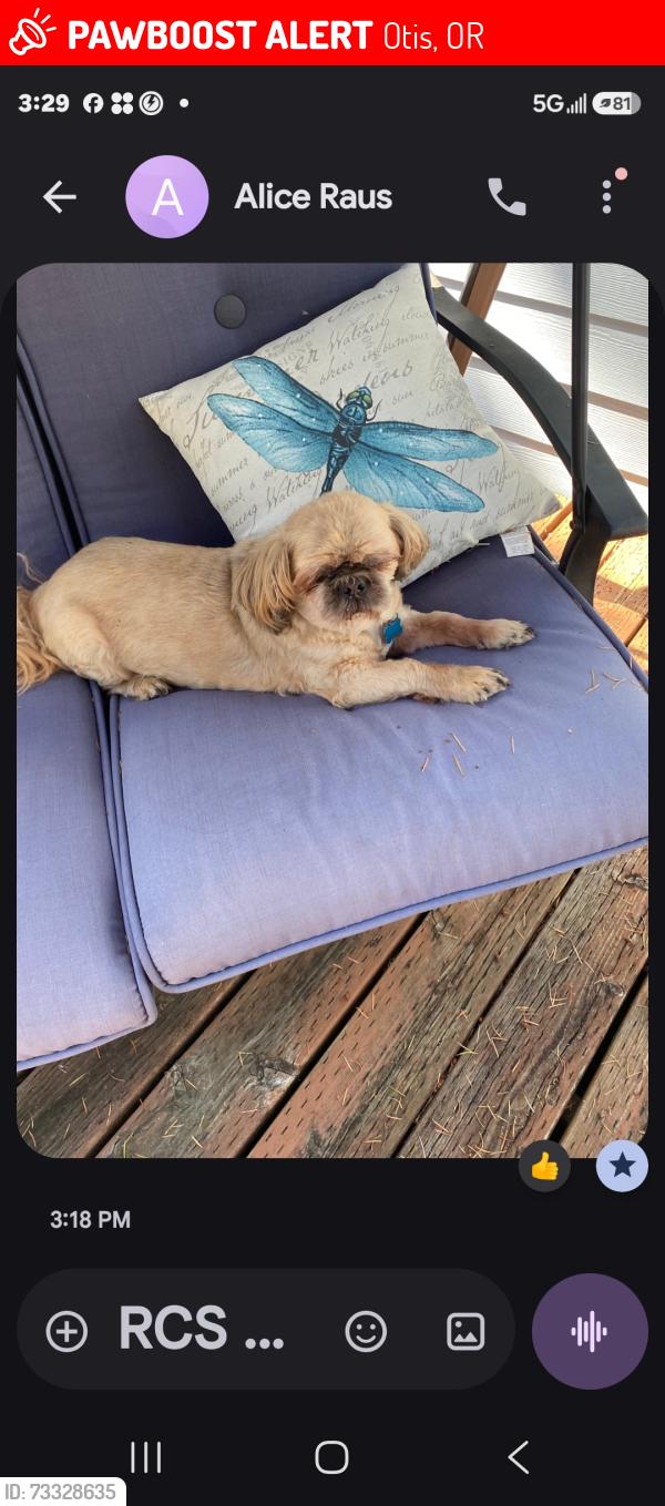 Lost Male Dog last seen Yodel & Deer valley, Otis, OR 97368