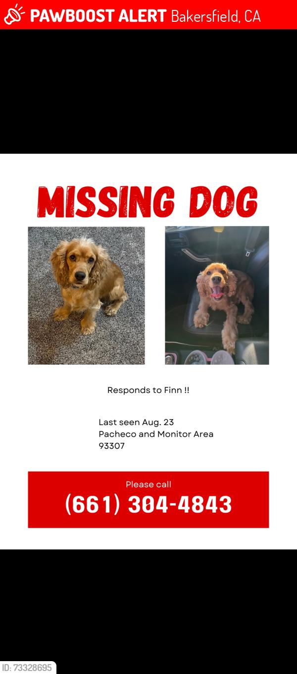 Lost Male Dog last seen Pacheco and Kenny st, Bakersfield, CA 93307