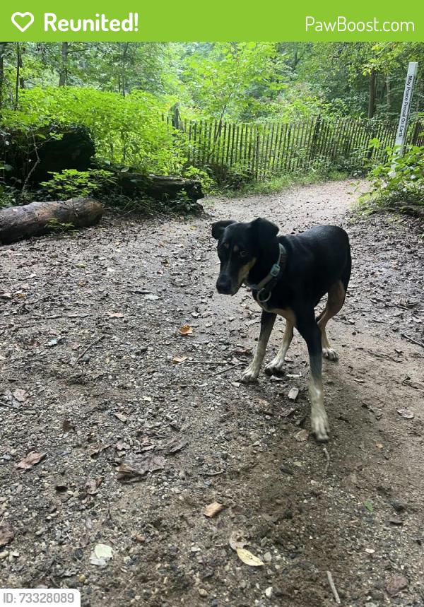 Reunited Unknown Dog last seen Carpenter Woods, Philadelphia, PA 19119