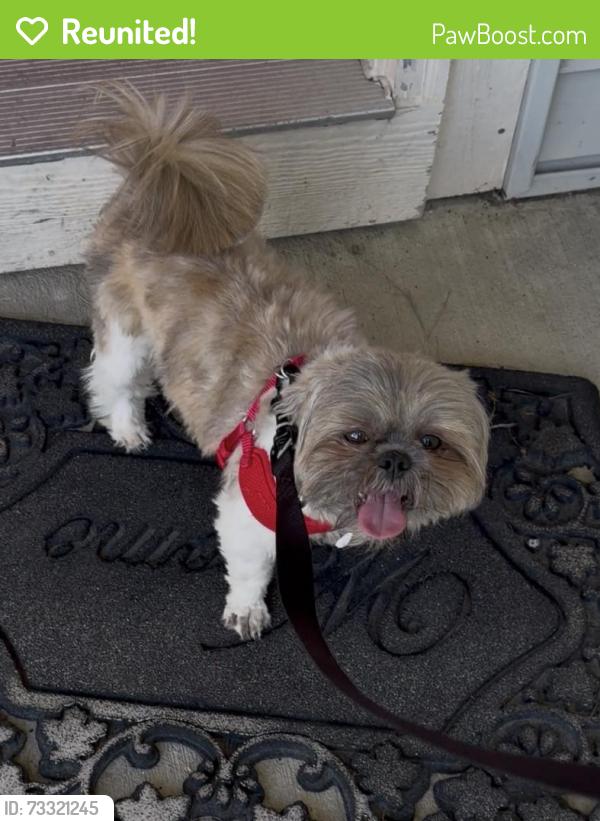 Reunited Male Dog last seen Cross streets, parking lot, Milwaukee, WI 53223