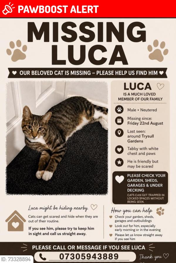 Lost Male Cat last seen Merry Hill pub, Merry Hill, England WV3 7LD