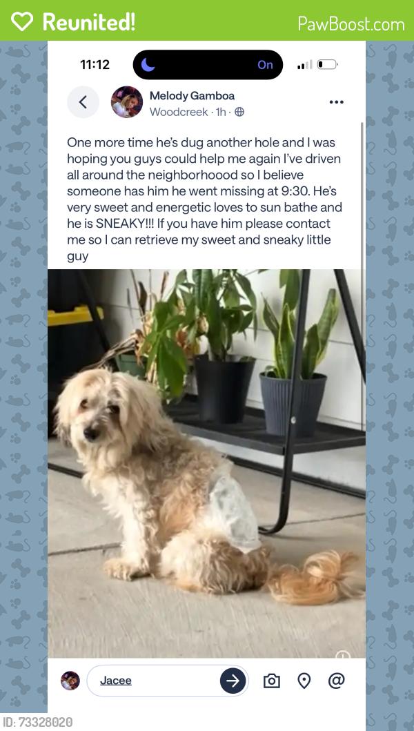 Reunited Male Dog last seen Forestridge, Rockwall, TX 75087