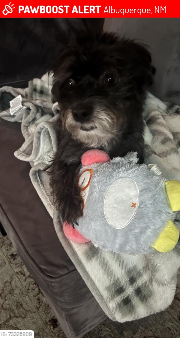 Lost Female Dog last seen Brindisi, Albuquerque, NM 87114