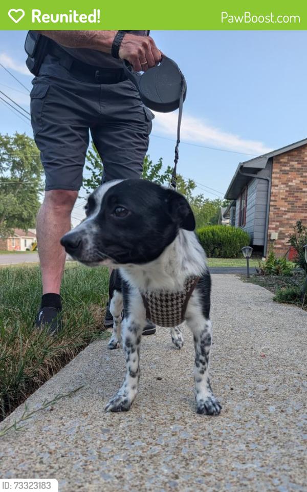 Reunited Male Dog last seen Holly Dr and Timberlake Dr, Hendersonville, TN 37075